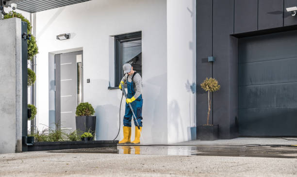 Best Soft Washing  in Lanett, AL
